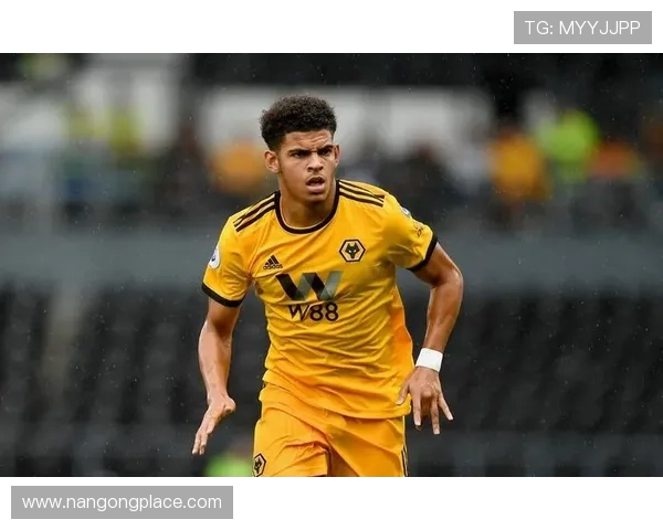 布拉德福德俱乐部：历史悠久的英格兰足球劲旅与辉煌成就